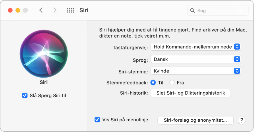 Vinduet med Siri-indstillinger med Slå Spørg Siri til valgt til venstre og flere muligheder til tilpasning af Siri til højre.