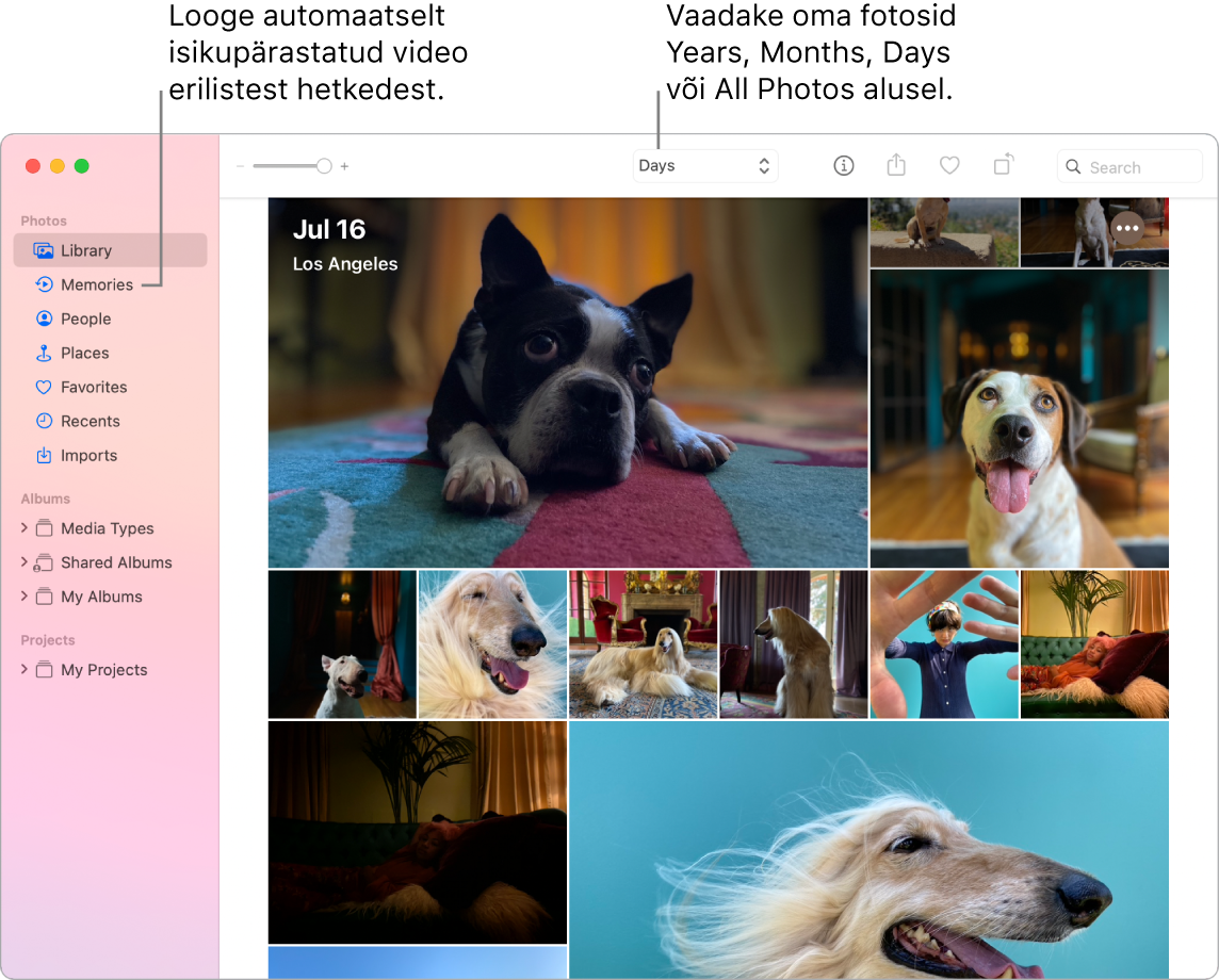 Rakenduse Photos aknas kuvatakse vasakul küljeribal funktsiooni Memories ning rakenduse Photos akna üleosas on hüpikmenüü, kust saate vaadata albumis olevaid fotosid päeva, nädala, kuu ja aasta alusel.