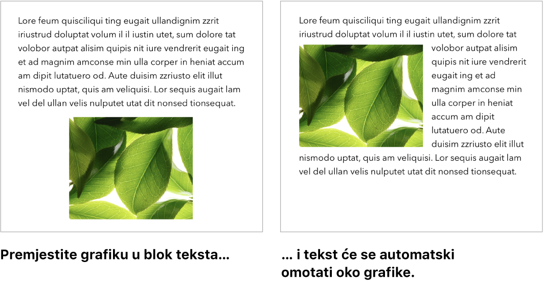 Prozor aplikacije Pages prikazuje kako se tekst omata oko grafike.