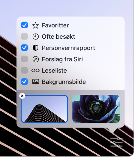 Lokalmenyen Tilpass Safari med avkrysningsruter for Favoritter, Ofte besøkt, Personvernrapport, Siri-forslag, Leseliste og Bakgrunnsbilde.