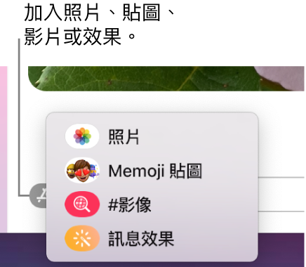 包含顯示照片、Memoji 貼圖、GIF 和訊息效果選項的 App 選單。