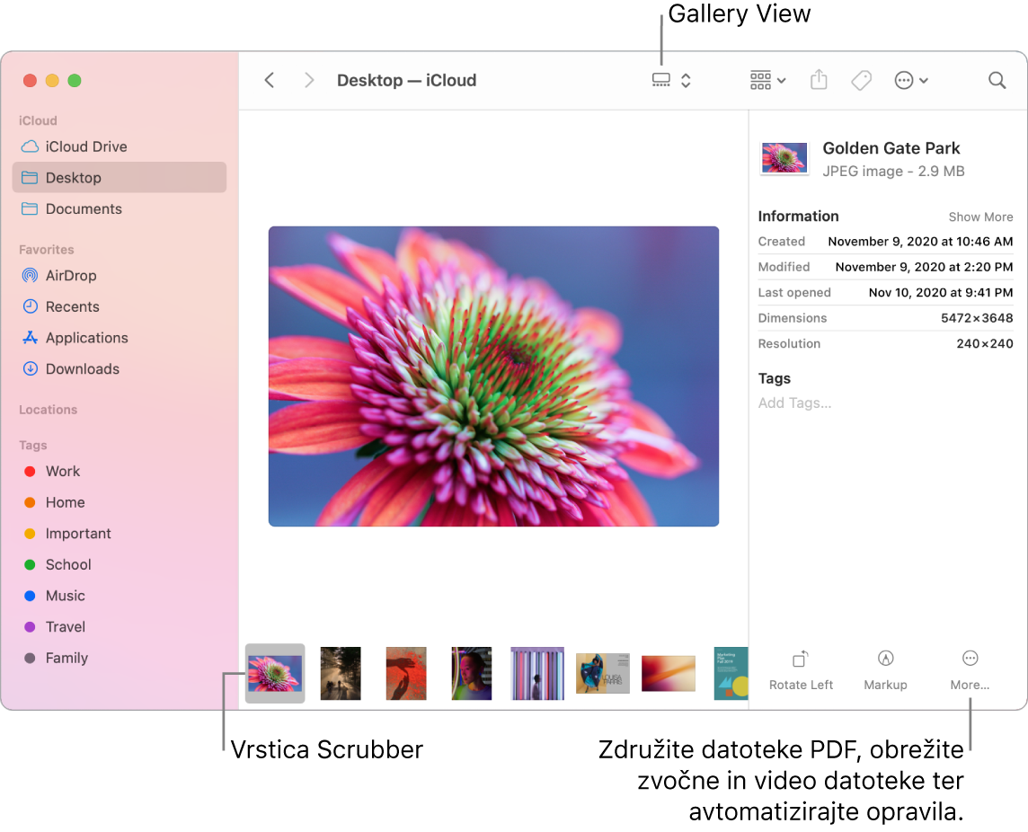 Odprto okno aplikacije Finder v pogledu Gallery prikazuje veliko fotografijo, pod njo pa je vrstica z manjšimi fotografijami – vrstica za upravljanje. Na desni strani vrstice za upravljanje so upravljalni elementi za obračanje, označevanje in dodatne funkcije.