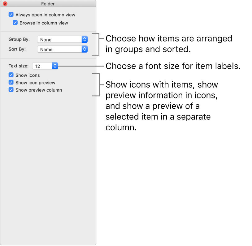 Column view options: You can choose how items are arranged in groups and sorted, choose a font size for item labels, show icons with items, show preview information in icons, and show a preview of selected items in a separate column.