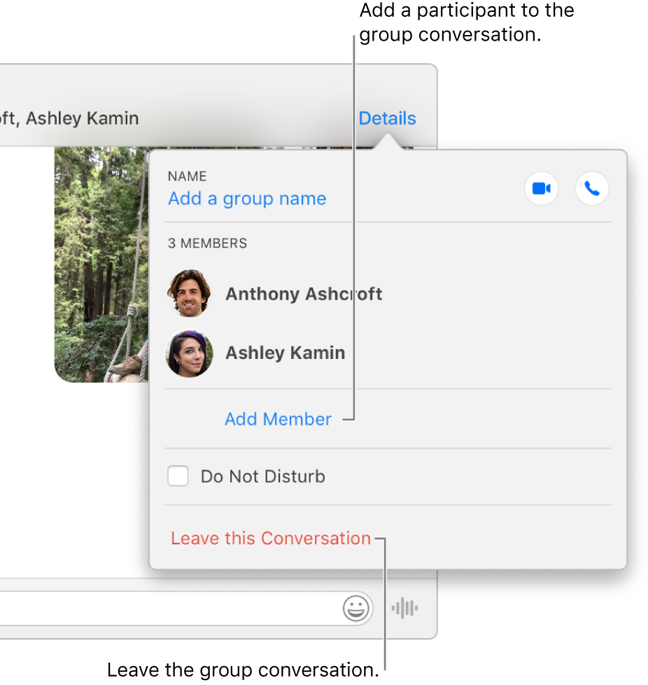 Details view, which appears after you click Details in a group conversation. Add Member appears below the name of the last participant in the list, and Leave this Conversation is at the bottom of the dialog.