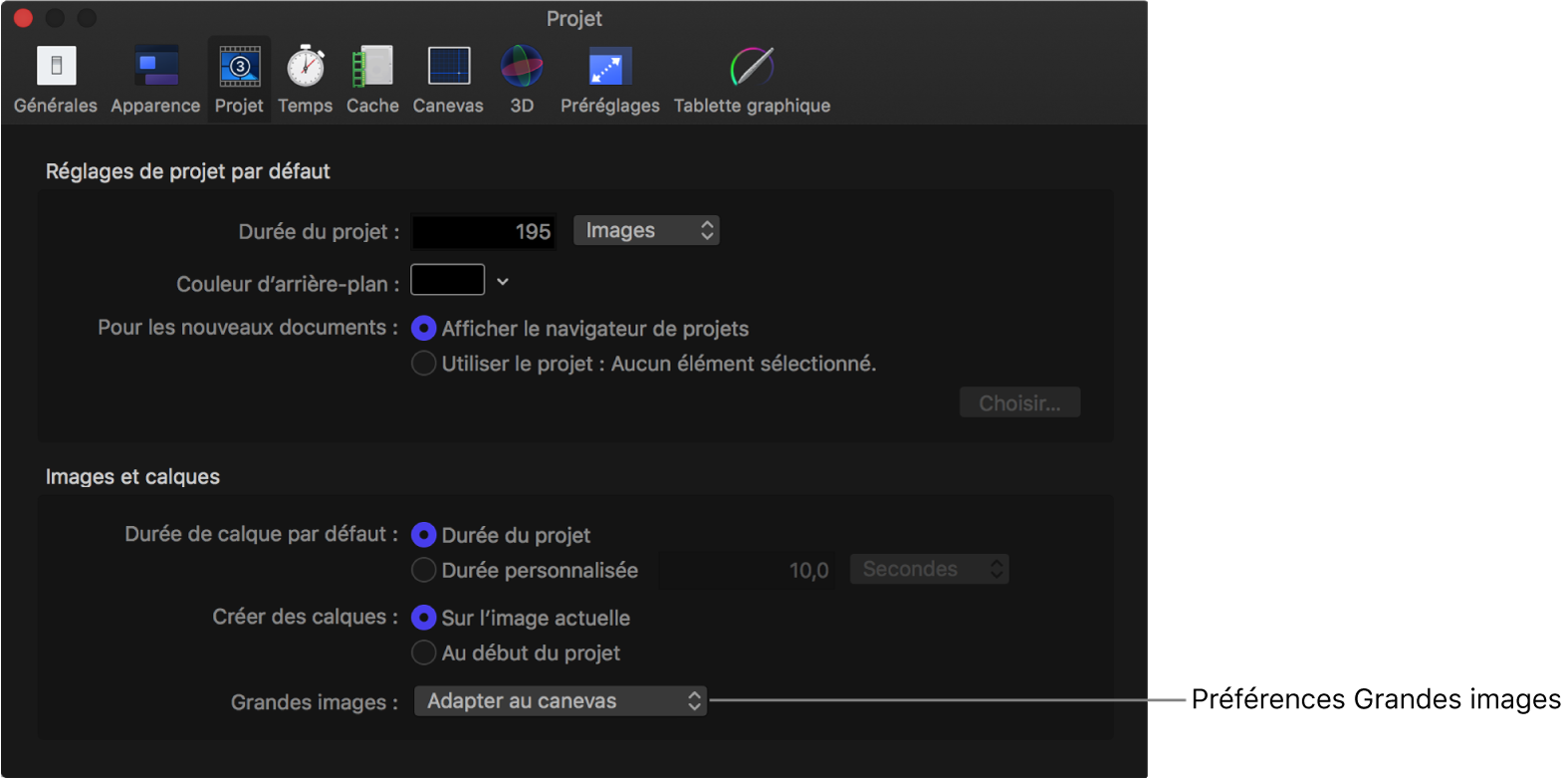 Fenêtre Préférences affichant une fenêtre de projet avec le menu local Grandes images réglé sur Adapter au canevas