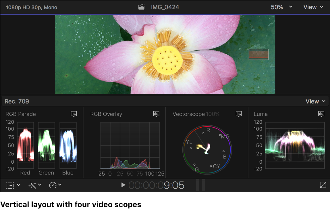 Das Histogramm „RGB-Parade“, das Histogramm „RGB-Überlagerungen“, das Vectorscope und der Waveform-Monitor „Luma“ unter dem Viewer