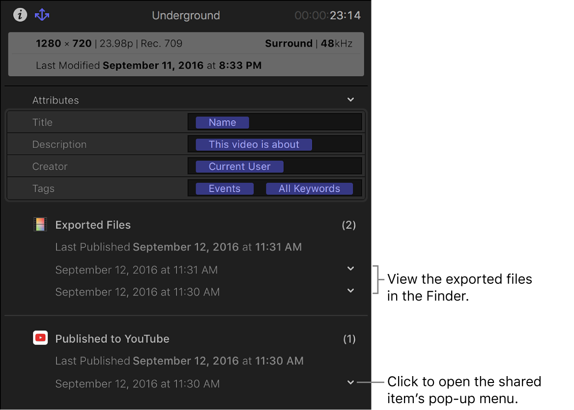 The Share inspector showing information about where a selected item was shared