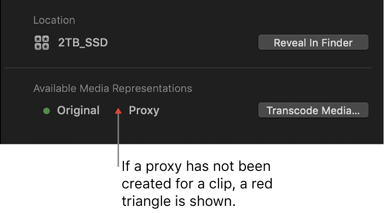 Inspector de información y triángulo rojo que indica que no existe ningún archivo proxy para el clip seleccionado