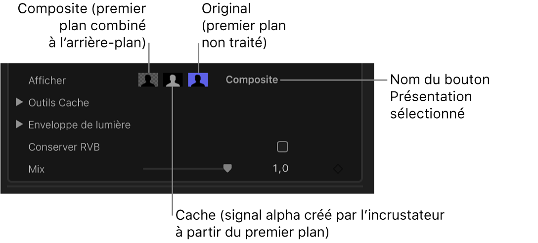 Commandes de présentation dans l’inspecteur vidéo