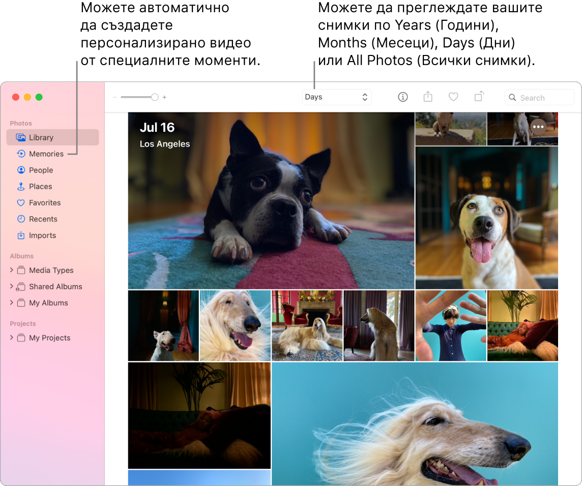 Прозорецът на Photos (Снимки), показващ функцията Memories (Спомени) в лявата странична лента и допълнителното меню в горната част на прозореца Photos (Снимки), където можете да преглеждате снимките в албума си по ден, седмица, месец и година.
