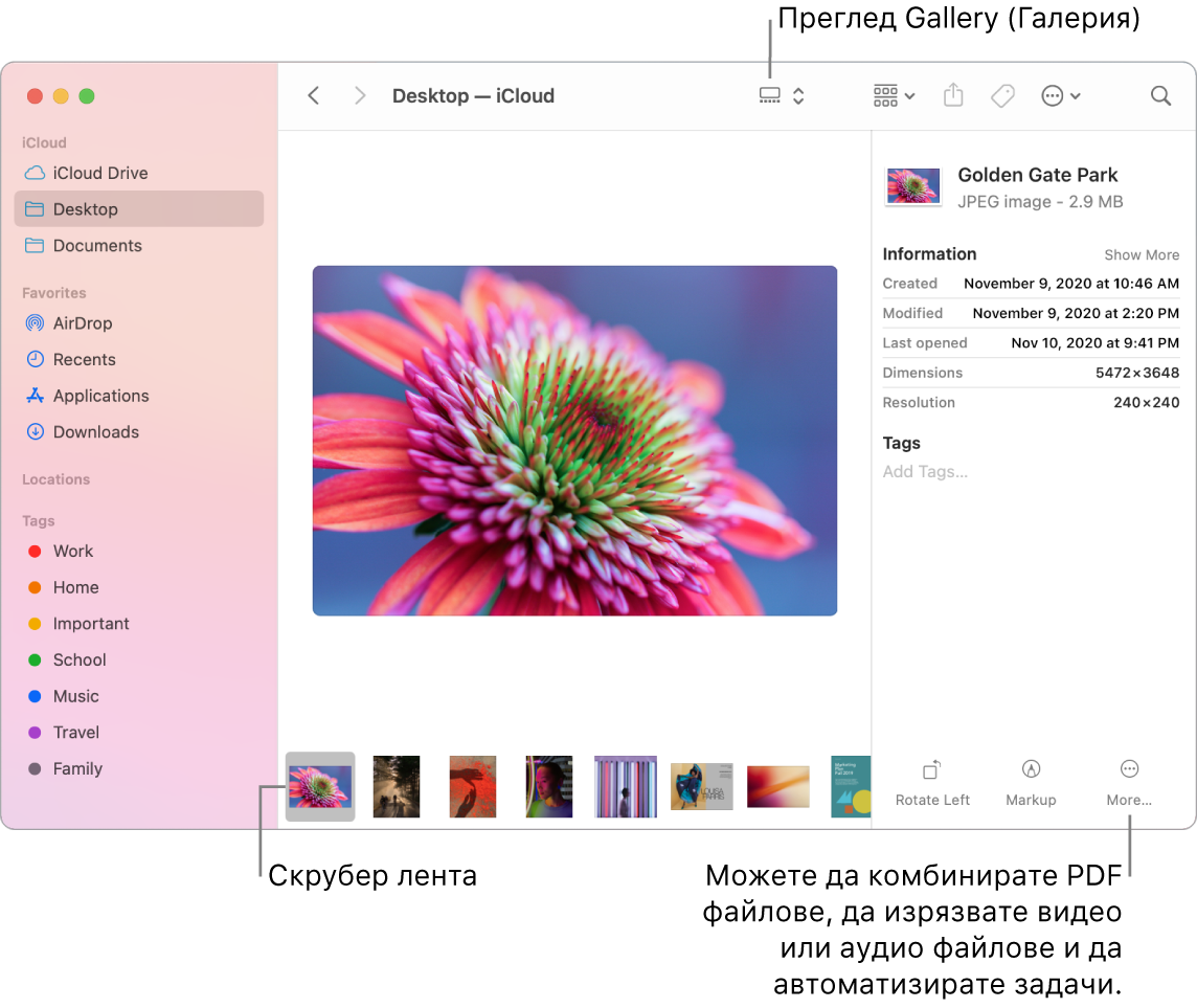 Отворен прозорец на Finder в Gallery View (Изглед Галерия), който показва голяма снимка с редица по-малки снимки—лентата на скубера—под нея. Бутоните за управление на завъртане, подчертаване и други са вдясно на лентата на скрубера.