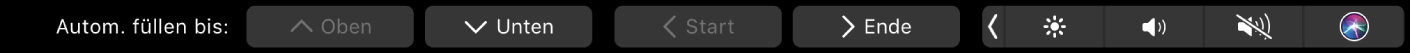 Die Numbers-Touch Bar mit angezeigter Taste für das automatische Ausfüllen Dazu gehören die Tasten „Oben“, „Unten“, „Start“ und „Ende“.