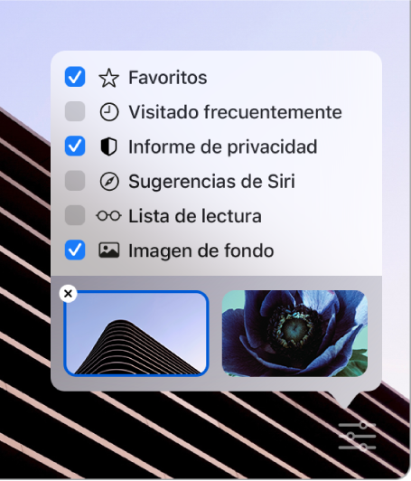  El menú desplegable Personalizar Safari con casillas para Favoritos, “Visitado frecuentemente”, “Informe de privacidad”, “Sugerencias de Siri”, “Lista de lectura” e “Imagen de fondo”.