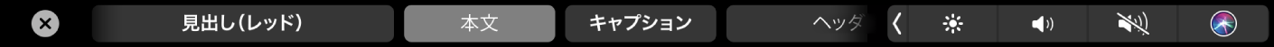 PagesのTouch Bar。タイトル、見出し、キャプションなどの段落フォーマットのスタイルが表示されています。