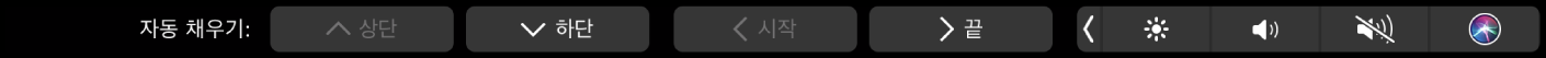 자동 완성 버튼이 표시된 Numbers용 Touch Bar. 자동 완성 버튼은 상단, 하단, 시작 및 끝을 포함합니다.