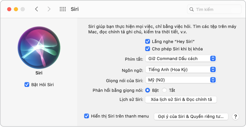 Cửa sổ tùy chọn Siri với Bật Hỏi Siri được chọn ở bên trái và một số tùy chọn để tùy chỉnh Siri ở bên phải, bao gồm “Lắng nghe ‘Hey Siri’”.