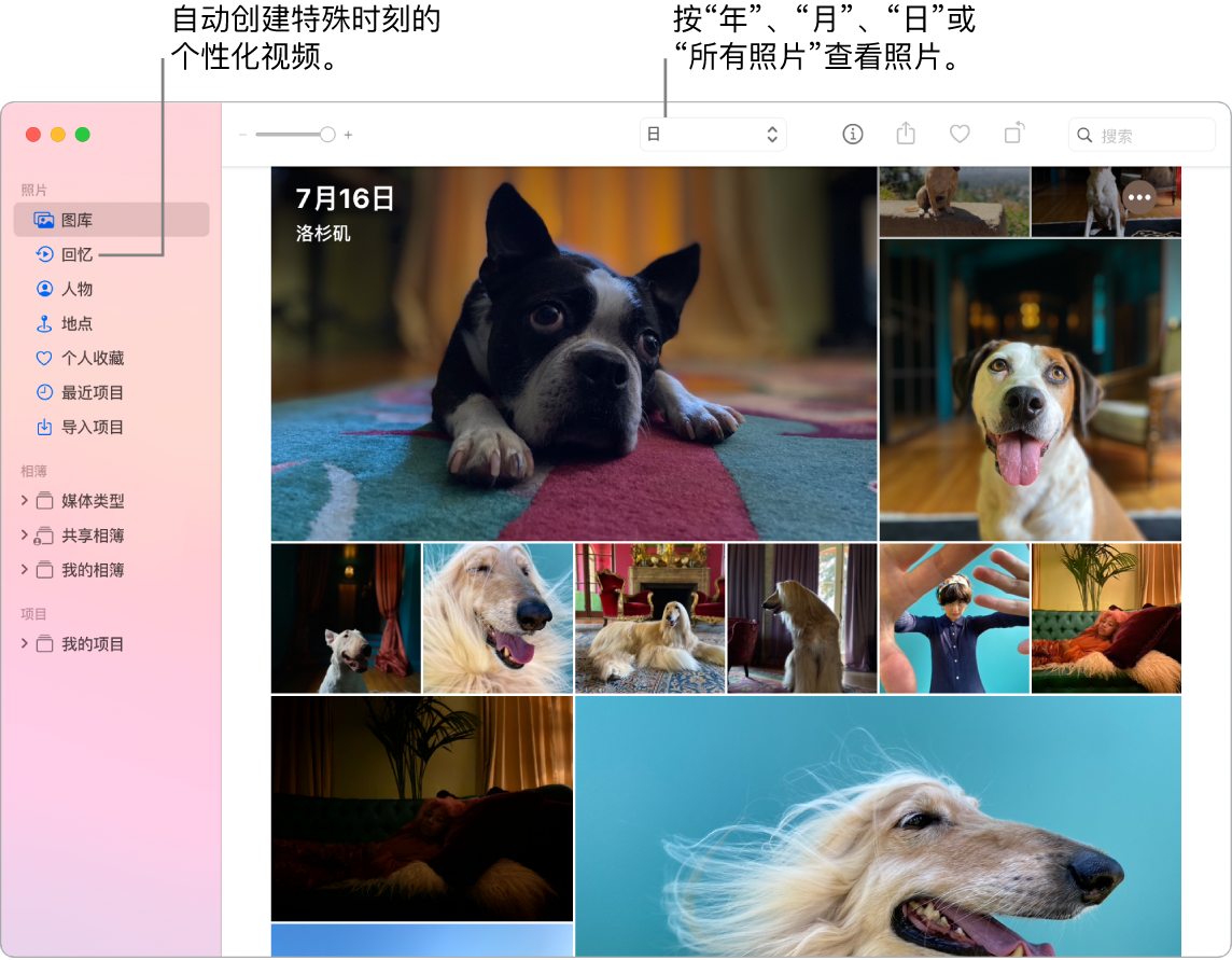 “照片”窗口，显示左侧边栏中的“回忆”功能和“照片”窗口顶部的弹出式菜单，您可以在此处按日、周、月和年查看相簿中的照片。