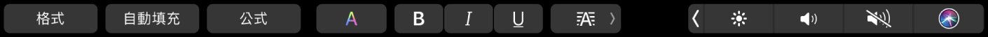 Numbers 觸控列帶有下列按鈕：格式、自動填充和公式按鈕。也包含顏色、粗體、斜體、底線和對齊等文字格式按鈕。