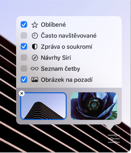  Místní nabídka Přizpůsobit Safari se zaškrtávacími políčky pro zobrazení oblíbených položek, často navštěvovaných stránek, zprávy o soukromí, návrhů Siri, seznamu četby a obrázku na pozadí
