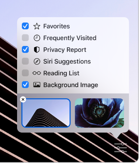  The Customize Safari pop-up menu with checkboxes for Favorites, Frequently Visited, Privacy Report, Siri Suggestions, Reading List, and Background Image.