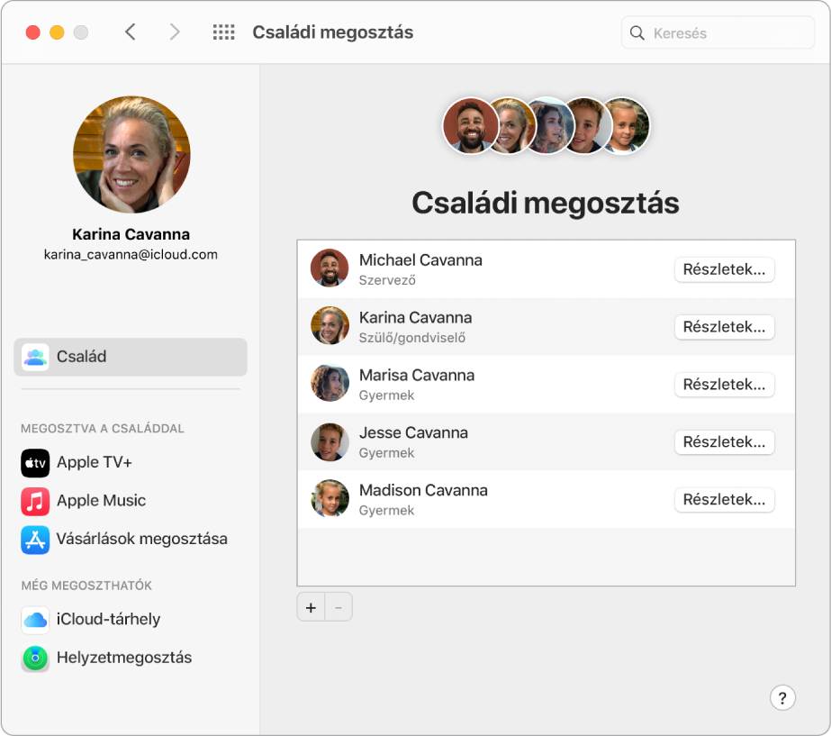 Egy Safari-ablak a Családi megosztás beállításaival az iCloud.com webhelyen.