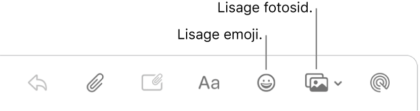 Kirja koostamise aknas kuvatakse emoji ja fotode nuppe.