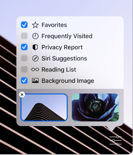 Favorites, Frequently Visited, Privacy Report, Siri Suggestions, Reading List және Background Image үшін құсбелгілері бар Customize Safari ашылмалы мәзірі.