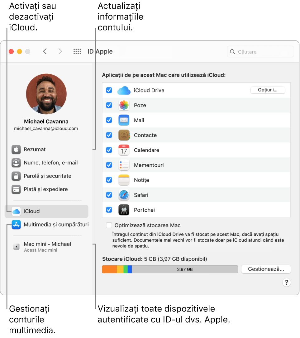 Panoul ID Apple din Preferințe sistem. Faceți clic pe un articol din bara laterală pentru a actualiza informațiile contului dvs., activați sau dezactivați iCloud, gestionați conturile multimedia și vizualizați toate dispozitivele pe care v-ați autentificat cu ID-ul Apple.