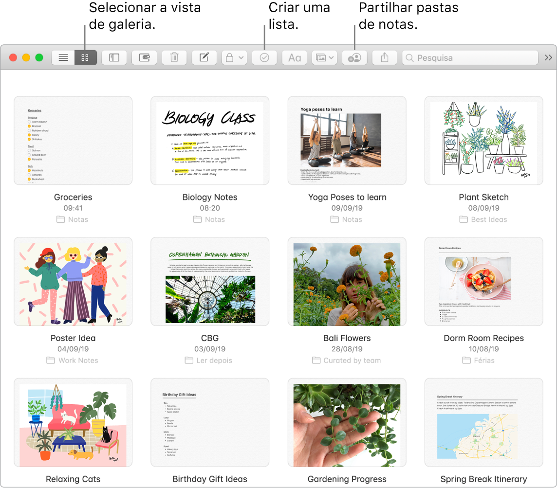 Uma janela da aplicação Notas mostra o botão para procurar na vista de galeria, o botão de lista e o botão para partilhar a pasta.