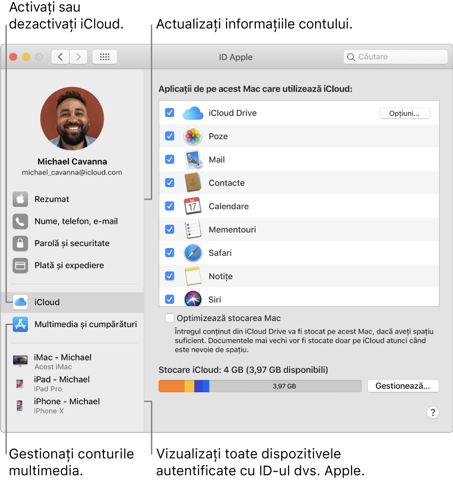 Panoul ID Apple din Preferințe sistem. Faceți clic pe un articol din bara laterală pentru a actualiza informațiile contului dvs., activați sau dezactivați iCloud, gestionați conturile multimedia și vizualizați toate dispozitivele pe care v-ați autentificat cu ID-ul Apple.