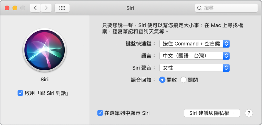 Siri 偏好設定視窗，左側已選擇「啟用跟 Siri 對話」；而右側則是自訂 Siri 的數個選項。