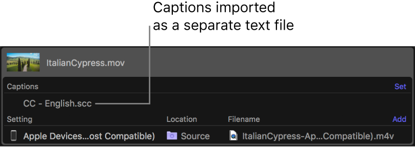 Batch area showing a captions file added as a separate text file