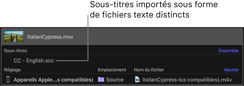 Zone du lot affichant un fichier de sous-titres, ajouté comme fichier texte à part