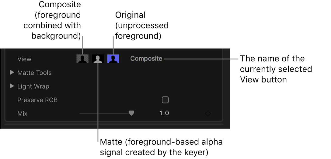 Commandes de présentation dans l’inspecteur vidéo