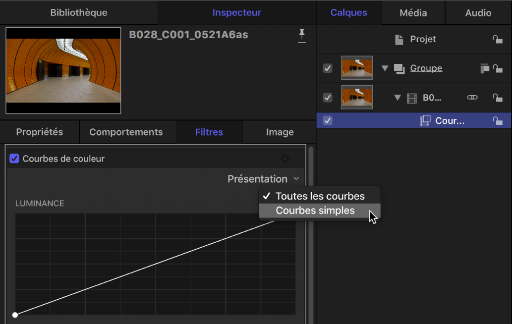 Options d’affichage dans le menu local Affichage des courbes de couleur dans l’inspecteur de filtres