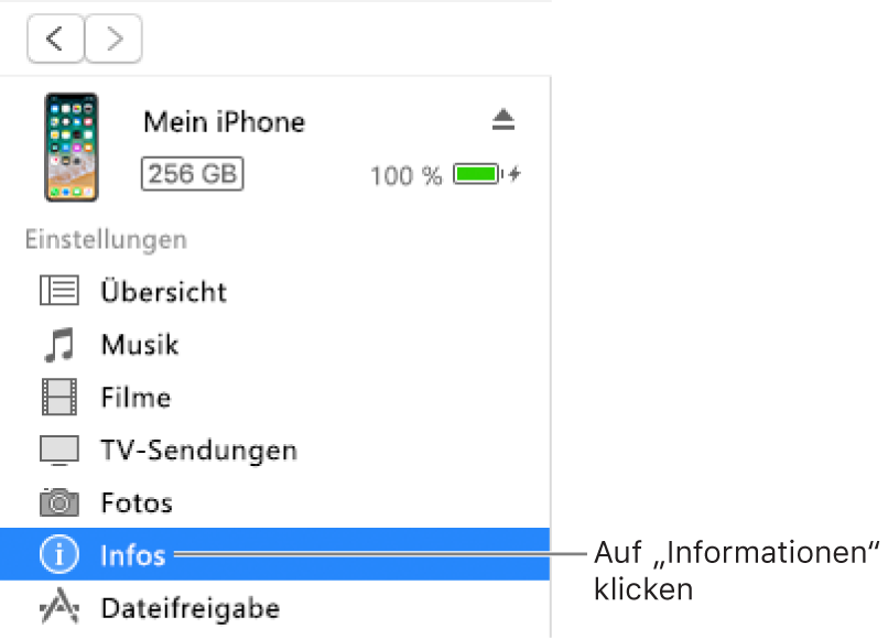 Das Fenster „Gerät“ mit links in der Seitenleiste ausgewählter Option „Infos“