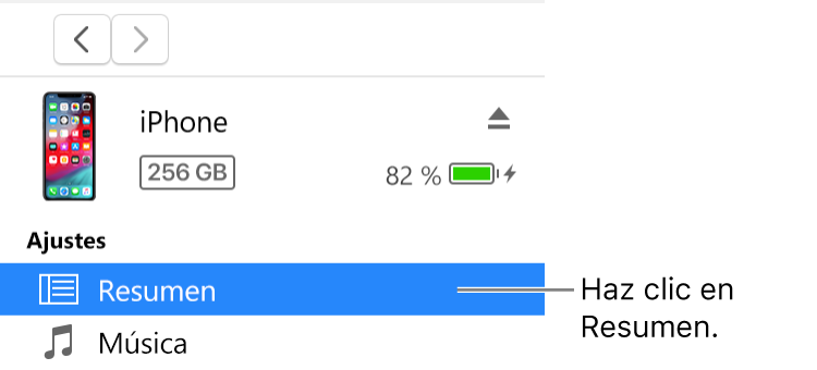 La ventana del dispositivo con la opción Resumen seleccionada en la barra lateral de la izquierda.