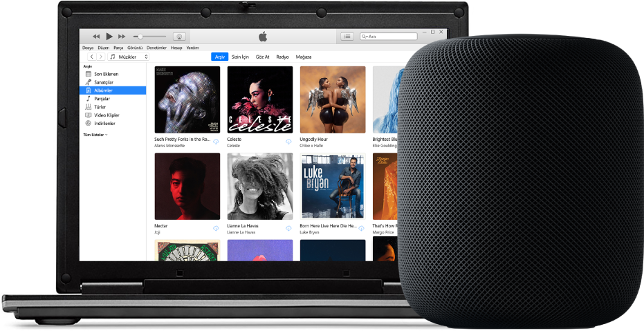 Ekranda iTunes’un olduğu bir PC ve yakındaki bir HomePod.