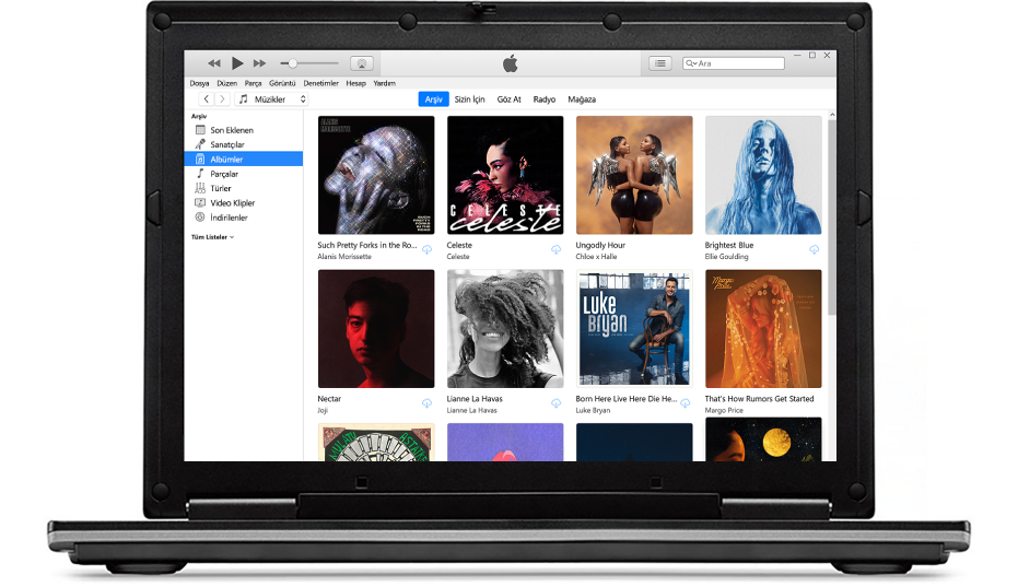 Birden fazla albüm arşivi ile iTunes penceresi.