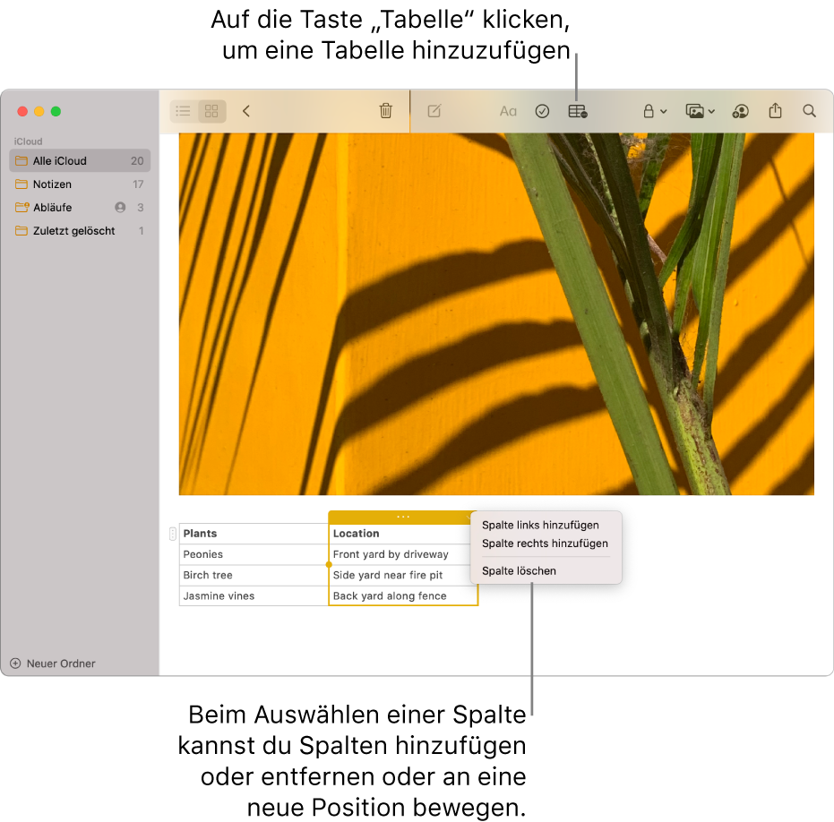 Das Fenster der App „Notizen“ mit der Taste „Tabelle“. Klicke auf diese Taste, um eine Tabelle hinzuzufügen. Im Inhalt der Notiz wird eine Tabellenspalte ausgewählt, sodass du weitere Spalten hinzufügen, vorhandene Spalten entfernen oder vorhandene Spalten an andere Positionen bewegen kannst.