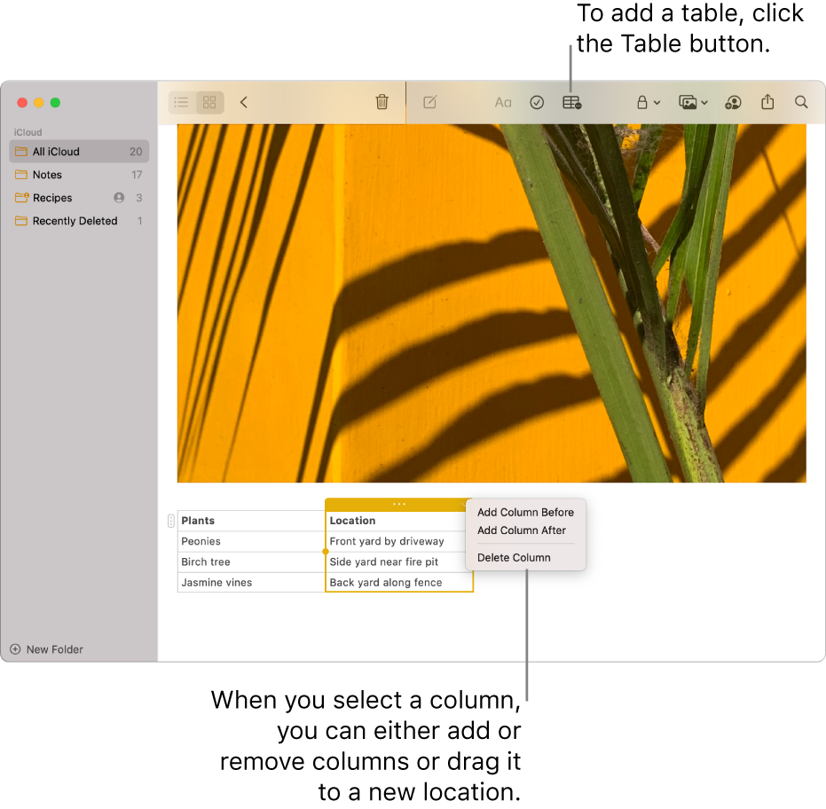 The Notes window showing the Table button — click it to add a table. Within the note content, a table column is selected so you can either add or remove columns or drag it to a new location.