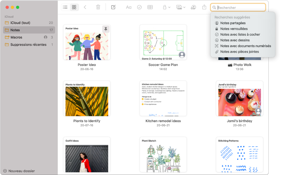 Notes au mode galerie, présentant le contenu de chacune dans une vignette. Les suggestions de recherche apparaissent dans le coin supérieur droit, en tant que notes verrouillées et notes avec pièces jointes.