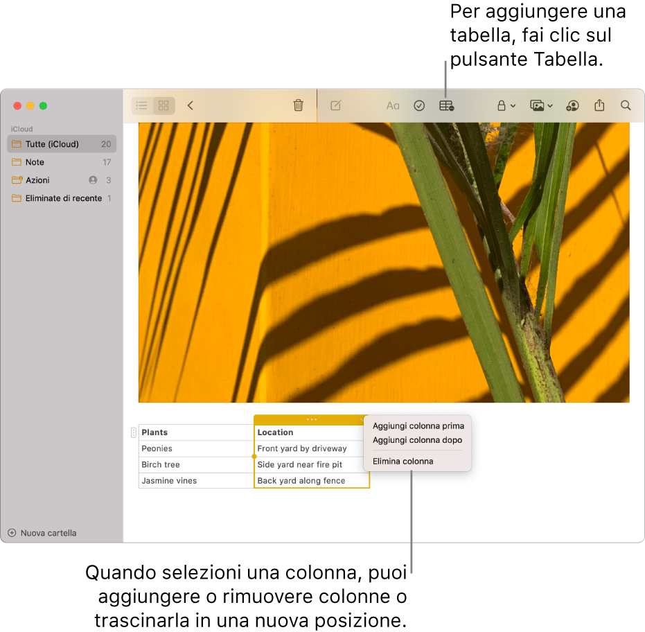 La finestra di Note che mostra il pulsante Tabella; fai clic su di esso per aggiungere una tabella. All'interno del contenuto della nota, viene selezionata una colonna della tabella in modo da poter aggiungere o rimuovere colonne oppure trascinala in una nuova posizione.