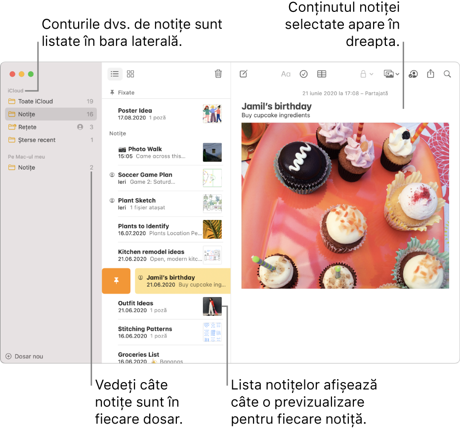Fereastra Notițe cu toate conturile și dosarele dvs. configurate listate în bara laterală din stânga, lista de notițe pe mijloc, afișând o previzualizare a fiecărei notițe, și conținutul notiței selectate afișat în partea dreaptă. Numărul de notițe apare lângă fiecare dosar.
