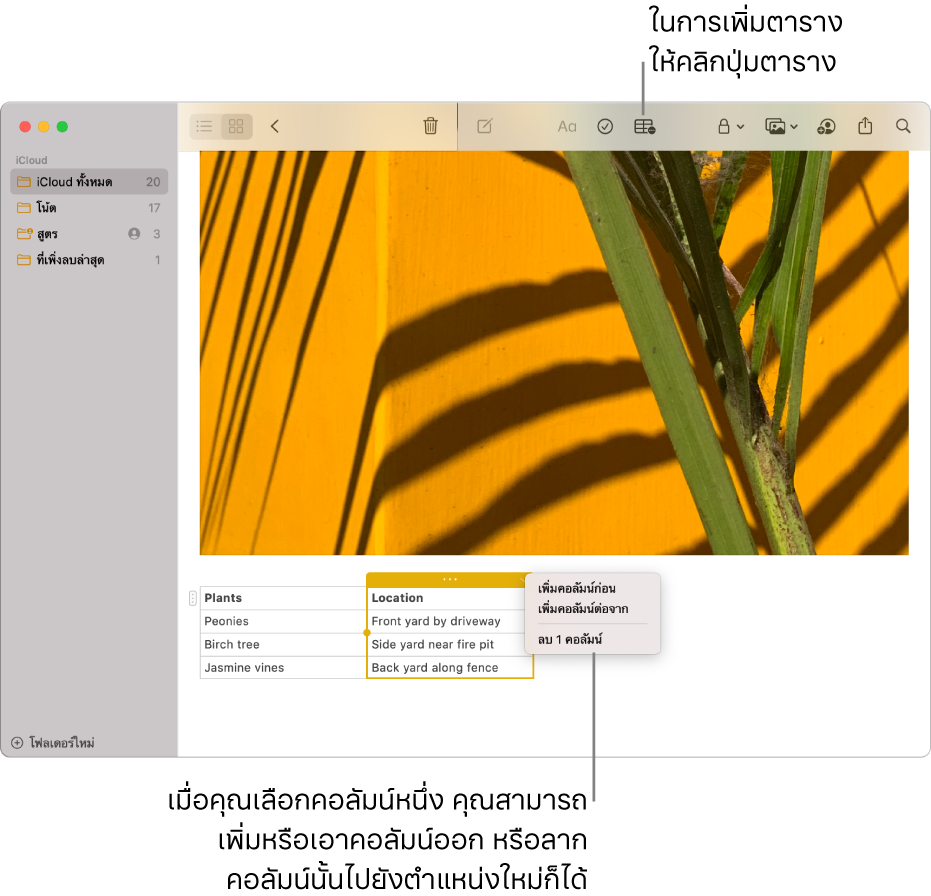 หน้าต่างโน้ตที่แสดงปุ่มตาราง คลิกที่ปุ่มเพื่อเพิ่มตาราง ภายในเนื้อหาโน้ต คอลัมน์ตารางถูกเลือกอยู่เพื่อให้คุณสามารถเพิ่มหรือเอาคอลัมน์ออก หรือลากคอลัมน์ไปยังตำแหน่งใหม่ได้