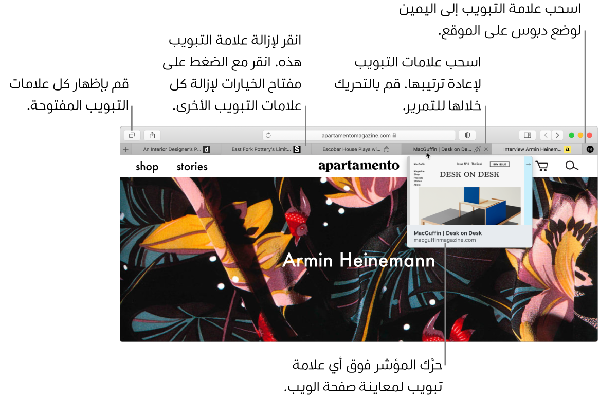 نافذة Safari تحتوي على عدة علامات تبويب مفتوحة، مع مؤشر فوق علامة تبويب يعرض معاينة لصفحة الويب.