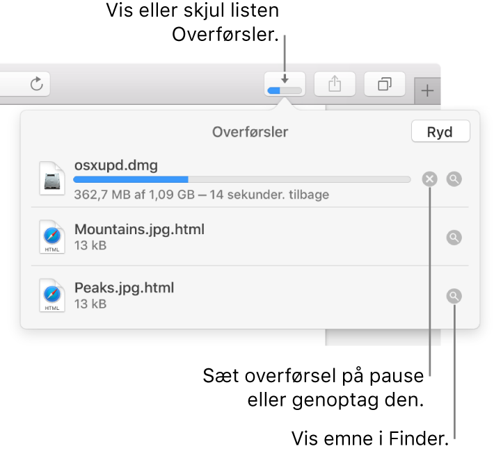 Knappen Overførsler på værktøjslinjen og derunder listen med overførsler.