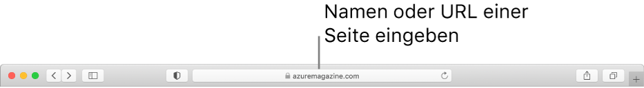 Das intelligente Suchfeld von Safari, in dem du Name oder URL einer Seite eingeben kannst.