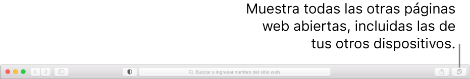 La barra de herramientas, mostrando el botón “Mostrar resumen de pestañas”.