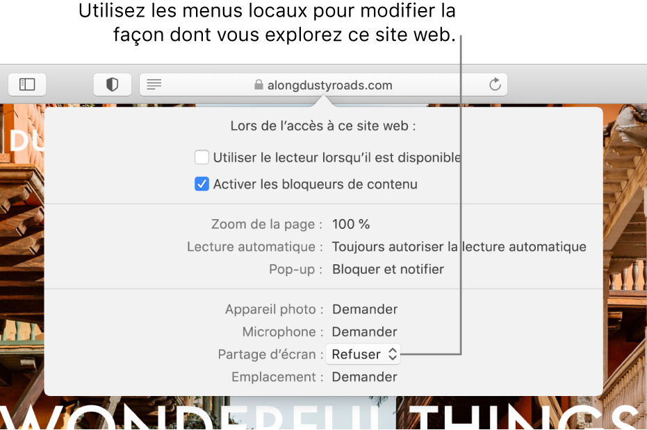 Zone de dialogue s’affichant sous le champ de recherche intelligente lorsque vous choisissez Safari > Réglages pour ce site web. La zone de dialogue contient des options permettant de personnaliser la façon dont vous parcourez le site web actuel. Vous pouvez notamment utiliser la présentation Lecteur, activer les bloqueurs de contenu, et plus encore.